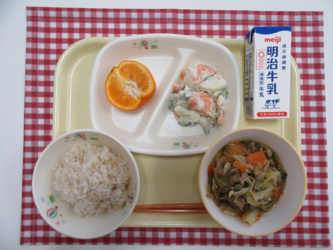 平成31年2月5日の給食