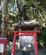 長笹石神神社の社叢写真