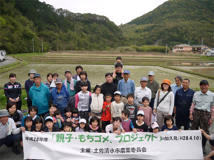 田植え体験