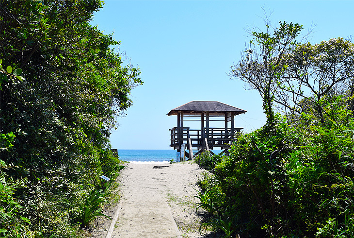 大岐海岸