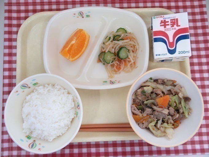 令和6年5月16日の給食.jpg