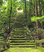 伊豆田神社社叢写真