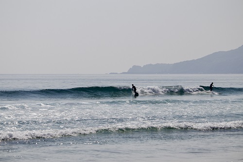 IMG_8222.jpeg