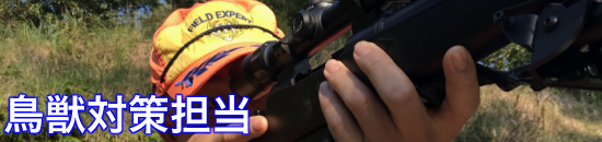 鳥獣