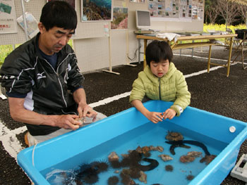 平成27年土佐清水市観光開き・竜串奇岩フェスティバル3