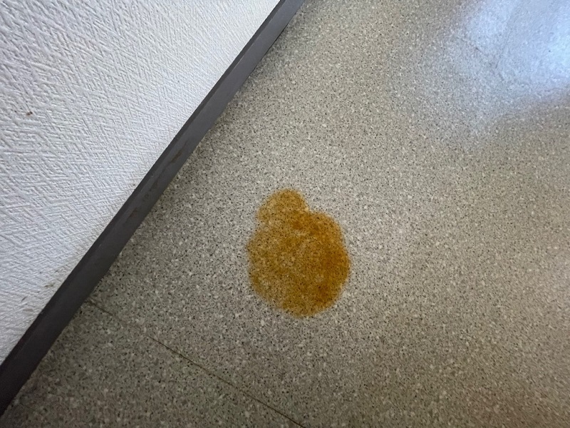 ダイニングキッチン(床に汚れあり)