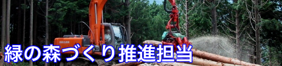 緑
