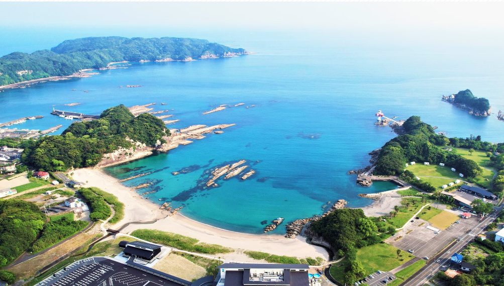 sea_tosashimizu.png