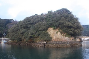 唐船島の隆起海岸
