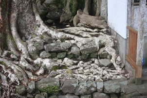 長笹石神神社の社叢